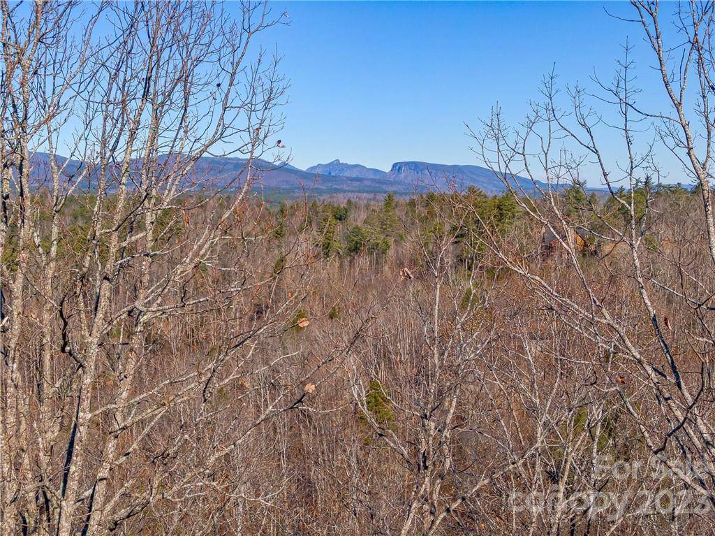 Nebo, NC 28761,138 & 139 High Trail DR