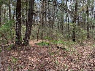 Hendersonville, NC 28792,67 Small Creek LN