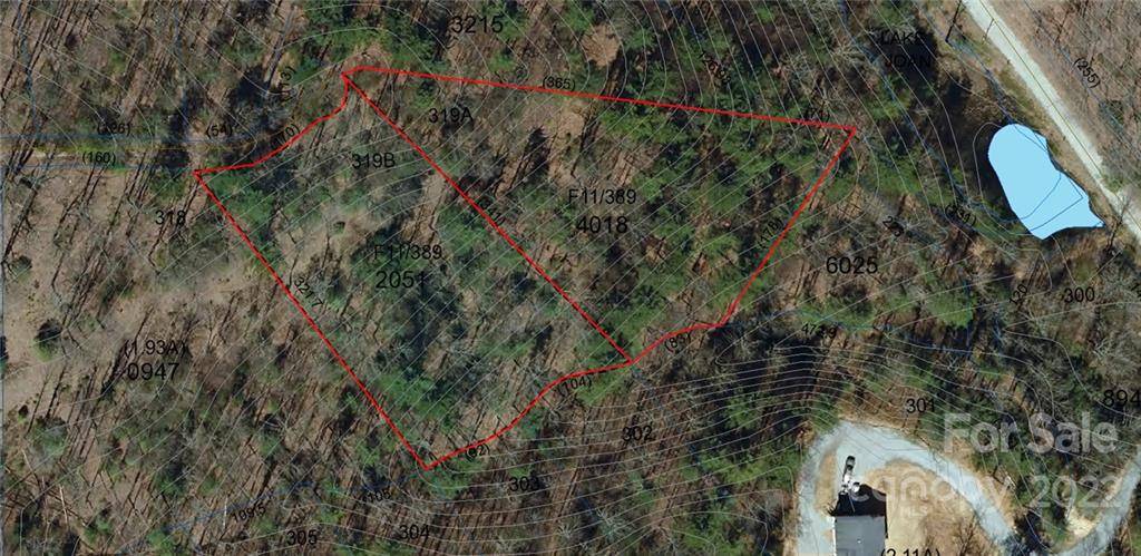 Brevard, NC 28712,Lots 319B & 319A Severy LN