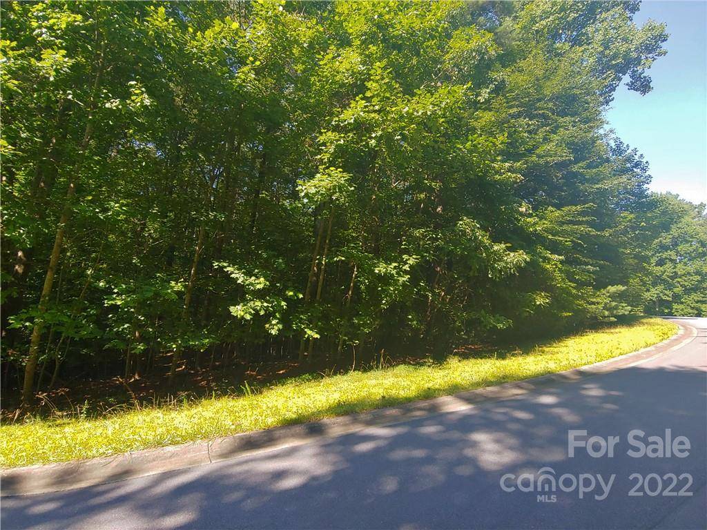 Wilkesboro, NC 28697,TBD Skyland DR #93 & 94