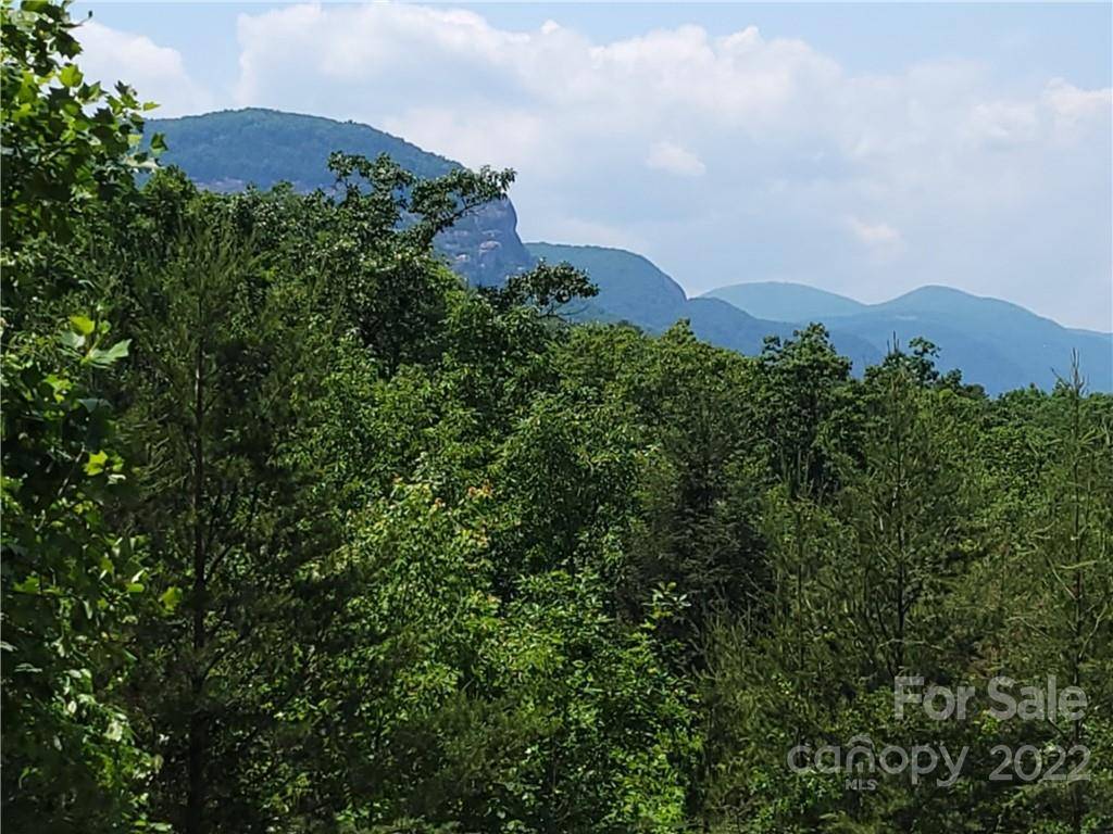 Lake Lure, NC 28746,0 Highland DR #6