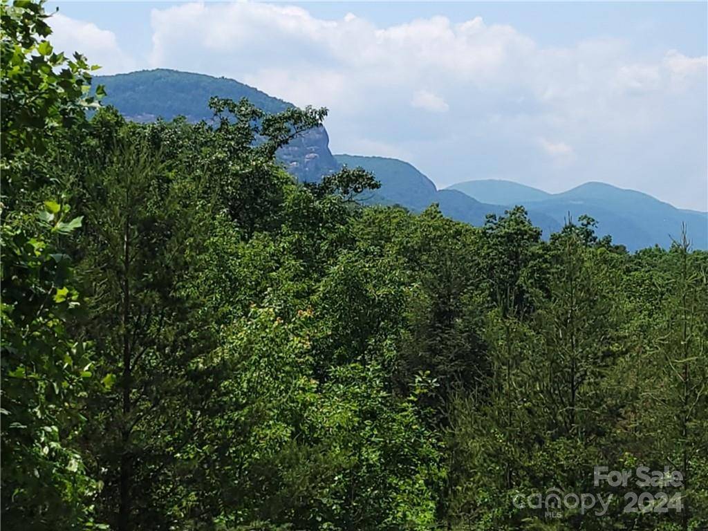 Lake Lure, NC 28746,LOT 5 Highland DR