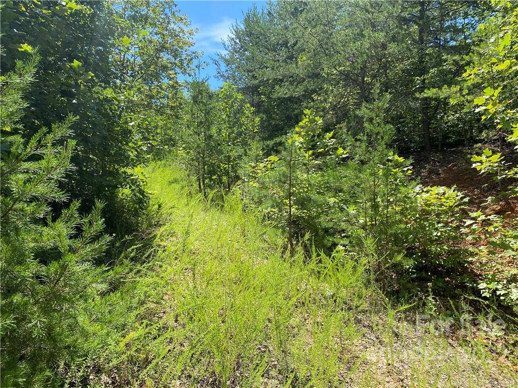 Nebo, NC 28761,lot #6 Sundance RD #6