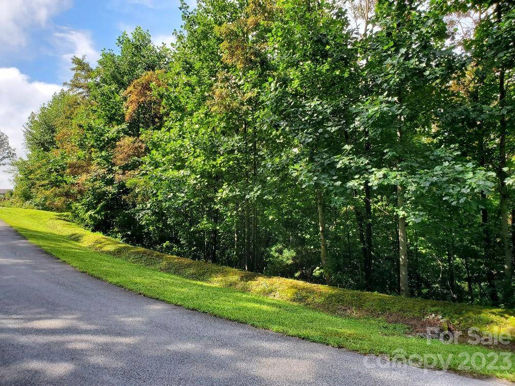 Hendersonville, NC 28739,LOT 37 Mountain Morning LN