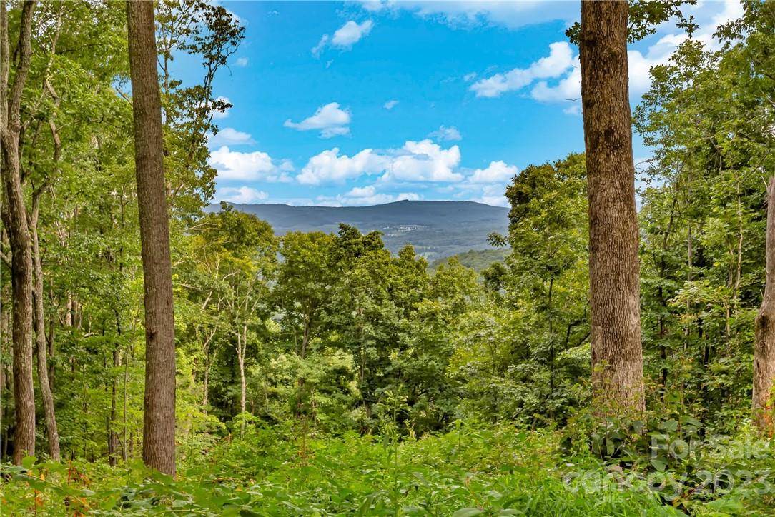 Fletcher, NC 28732,TBD Mountain Grove LN #LOT 57