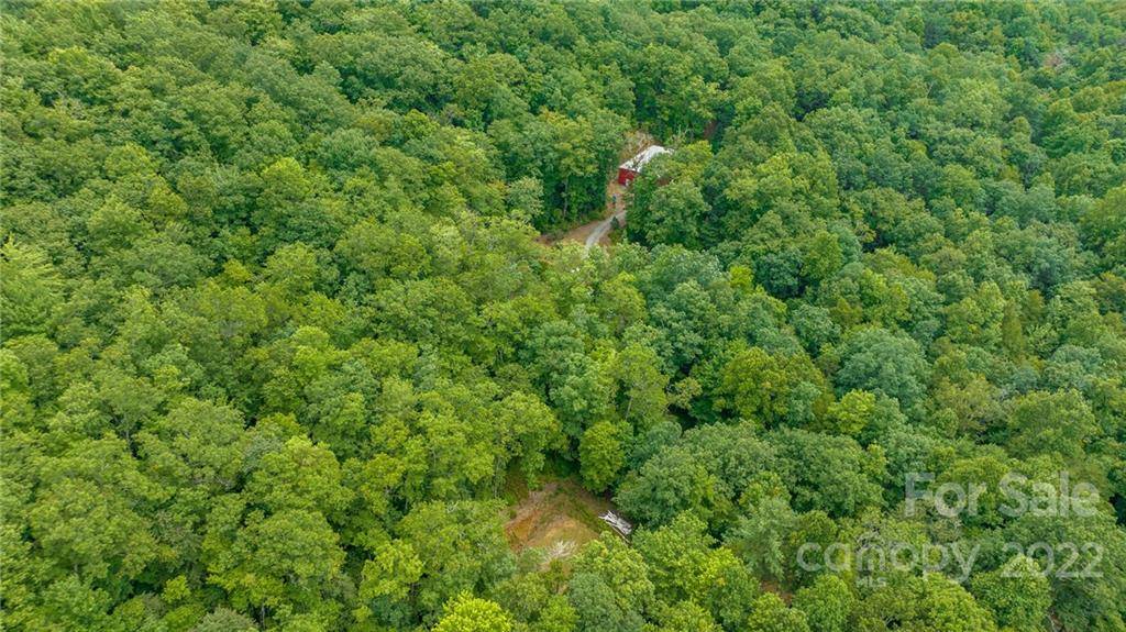 Rosman, NC 28772,251 Willow LN