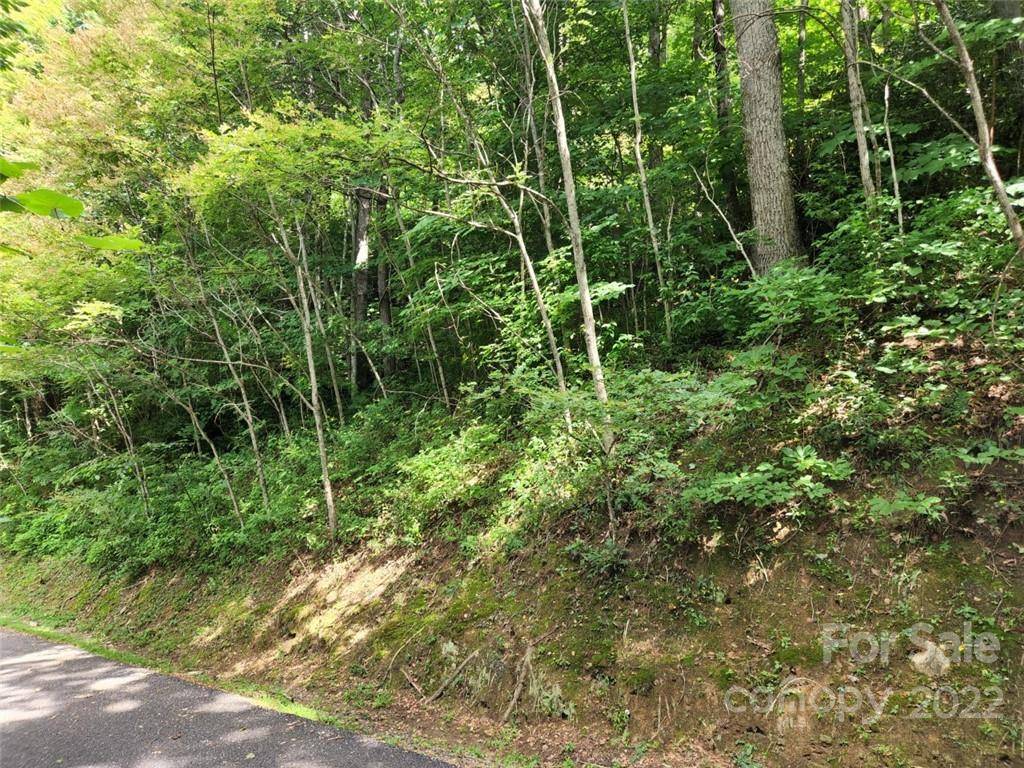 Maggie Valley, NC 28751,00 Heavenview PT #120