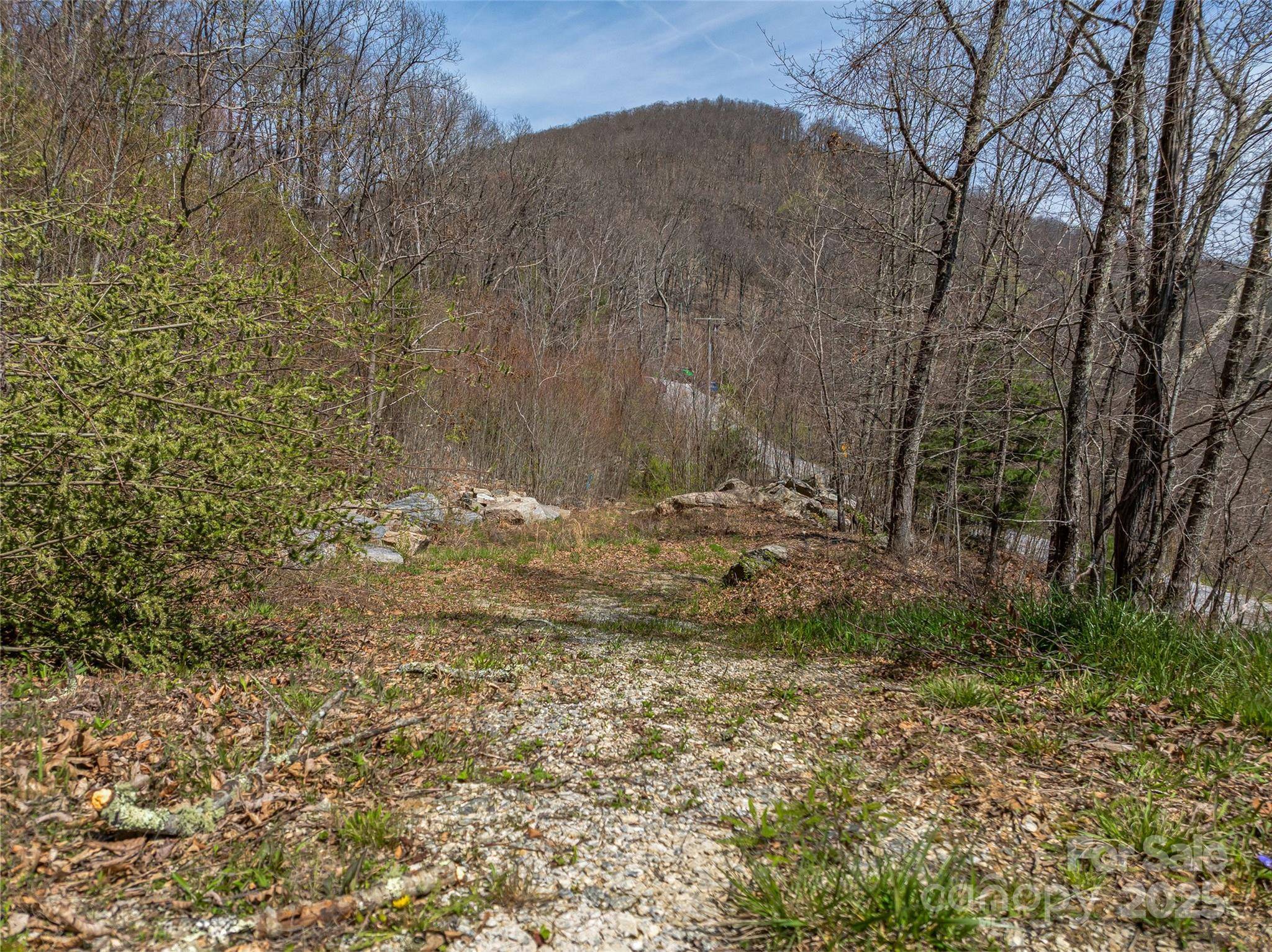 Hendersonville, NC 28792,370 Autumn Ridge LN #75