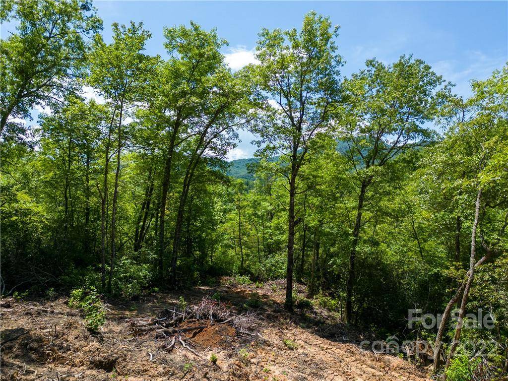 Whittier, NC 28789,Lot 3 Kimberly LN