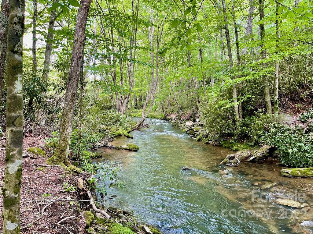 Blowing Rock, NC 28605,127 StoneLedge LN #127