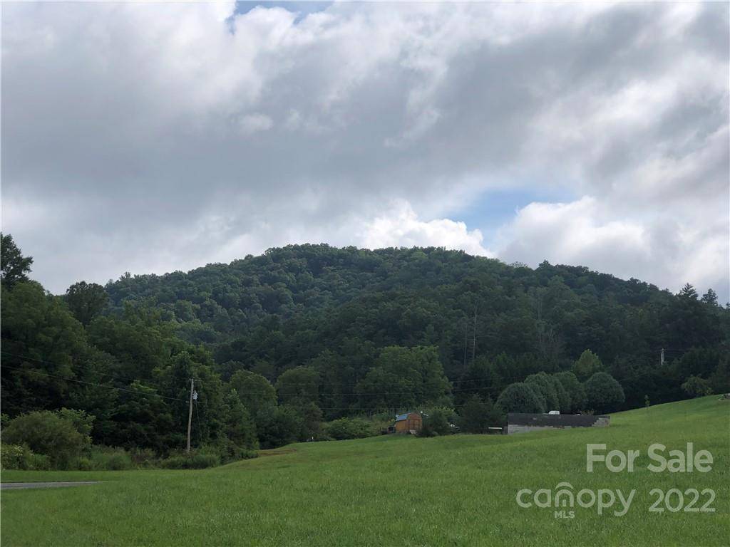 Weaverville, NC 28787,52 Ivy Meadows DR