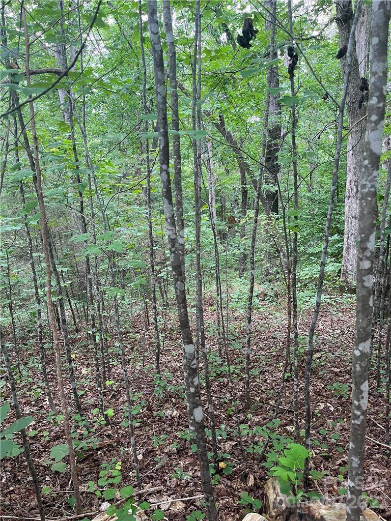 Rutherfordton, NC 28139,Lot 344 N Dakota DR