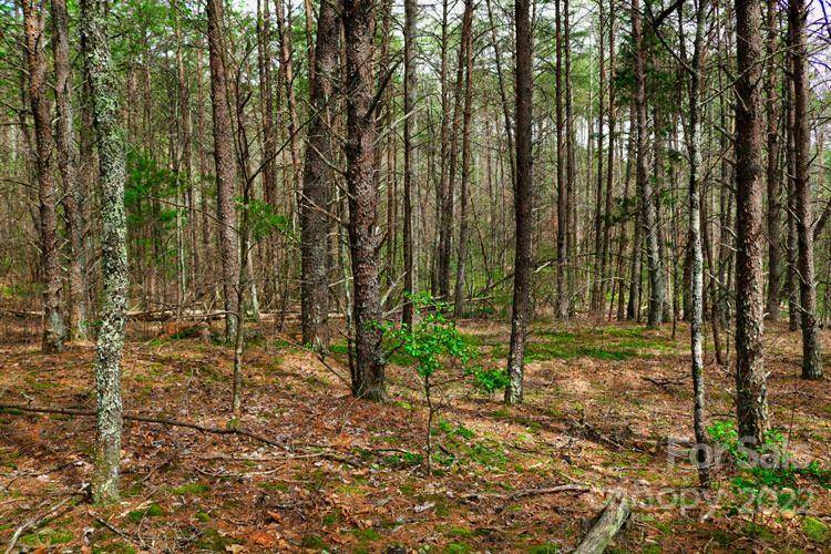 Lake Lure, NC 28746,0 Westridge DR #87