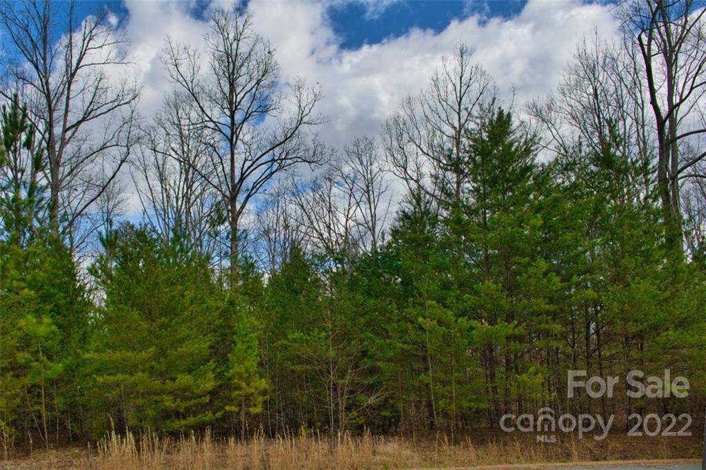 Rutherfordton, NC 28139,0 N Dakota DR #343