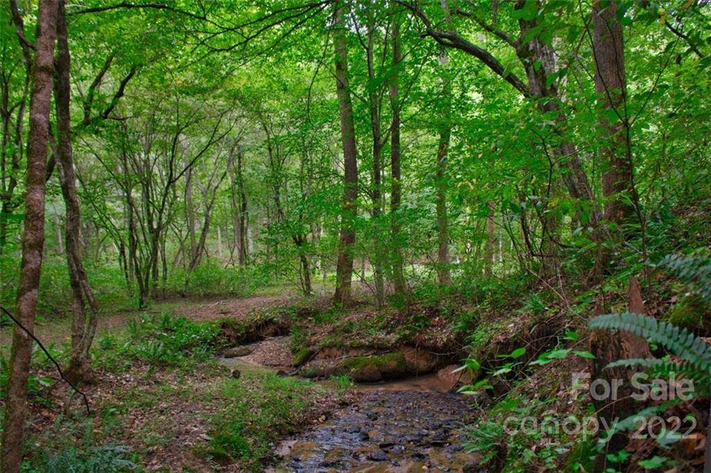 Rutherfordton, NC 28139,0 Desota RDG #366