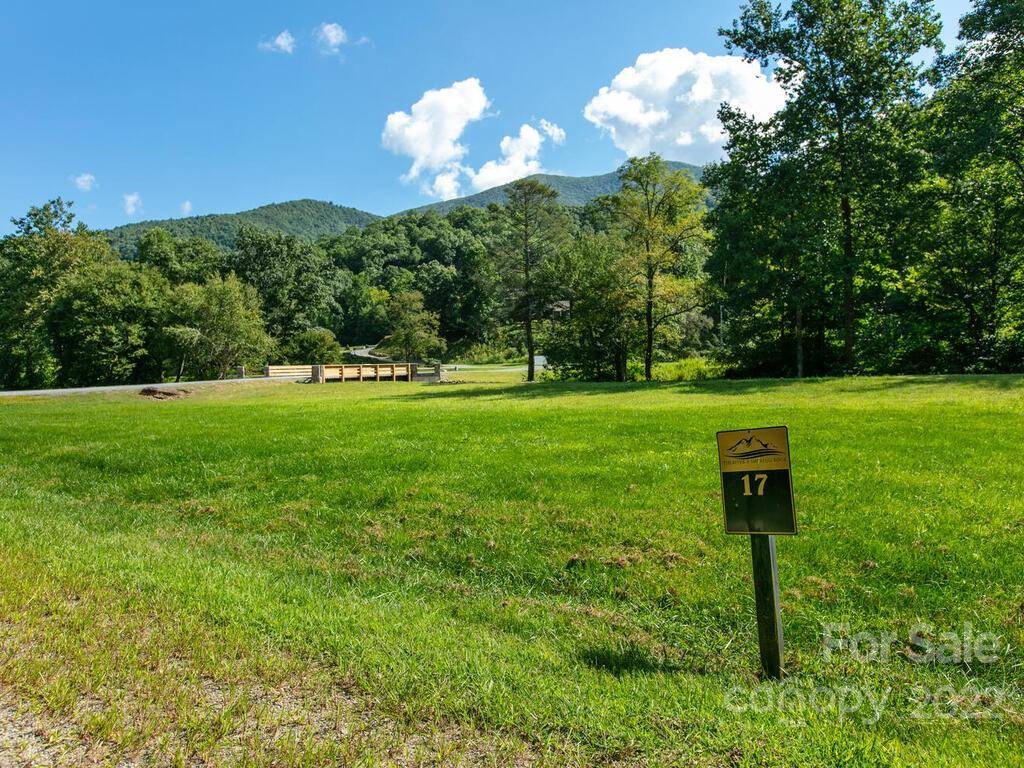 Canton, NC 28716,00000 Shining Rock TRL #17