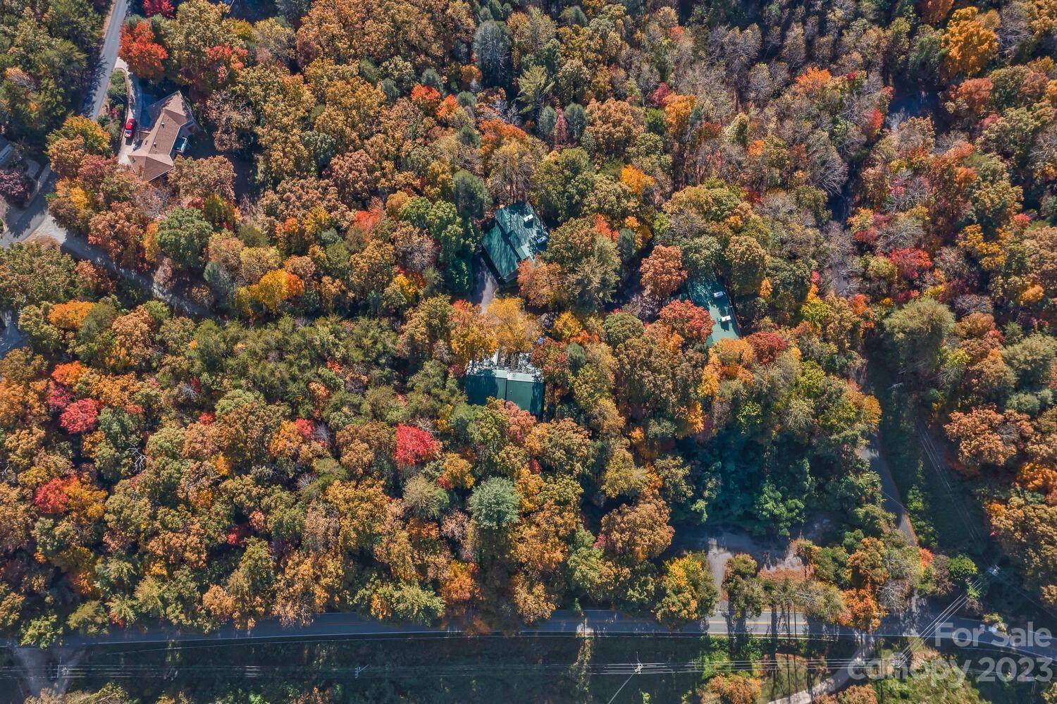 Lake Lure, NC 28746,1C Buffalo Creek RD #1C