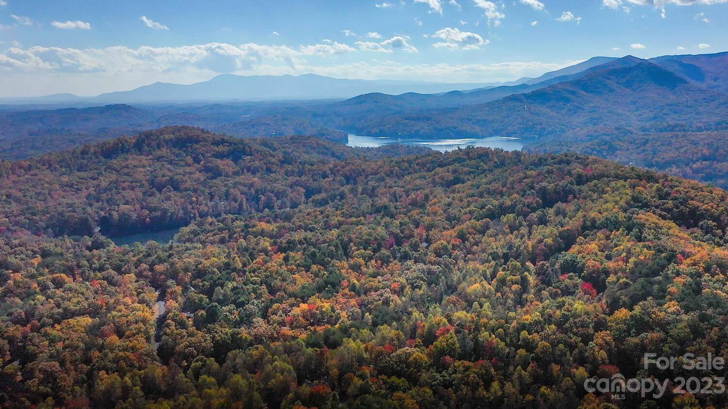 Lake Lure, NC 28746,1C Buffalo Creek RD #1C