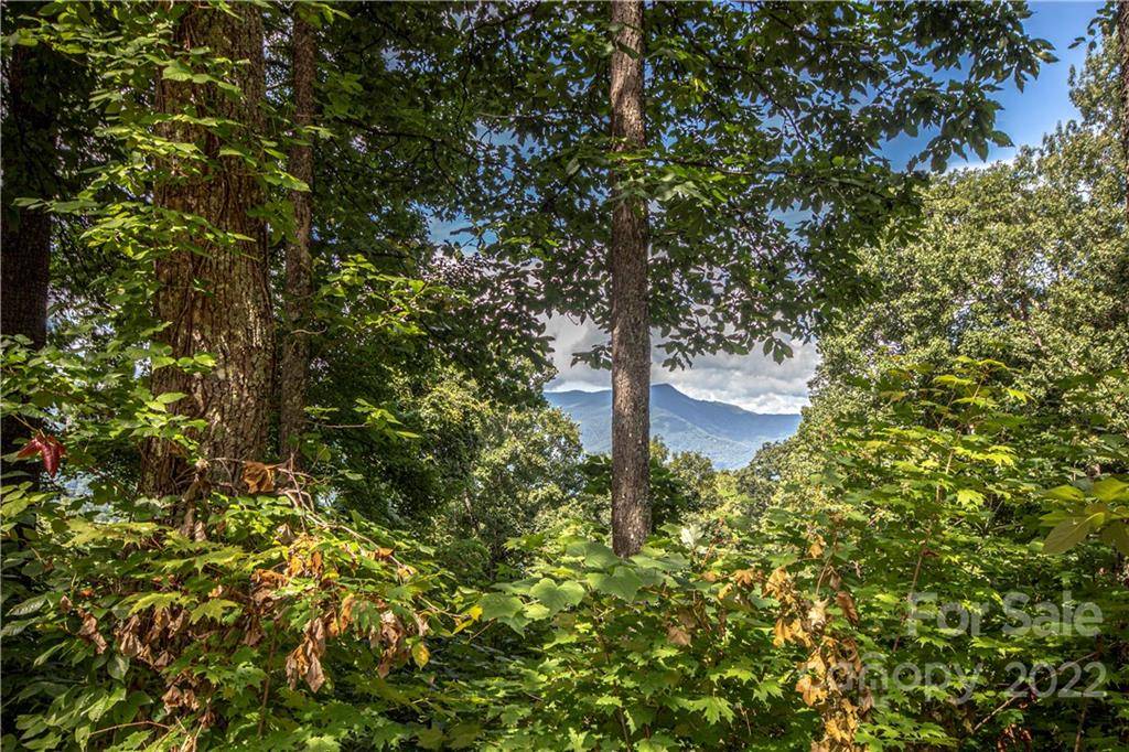 Waynesville, NC 28786,Lot 53 Olympia LN