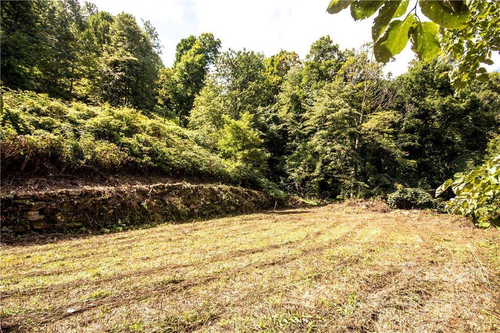 Waynesville, NC 28786,Lot 53 Olympia LN