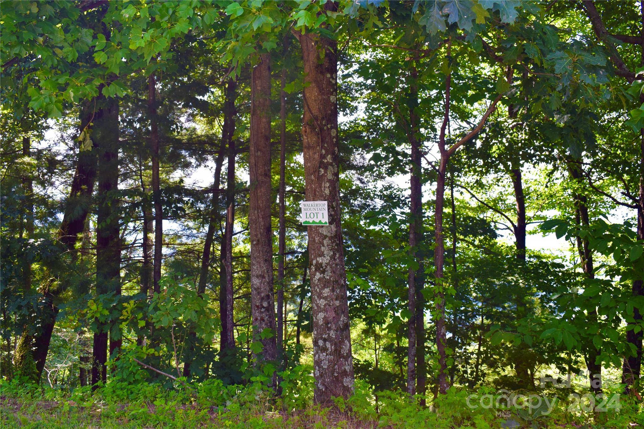 Morganton, NC 28655,6409 Walkertop Mtn Overlook DR #Lot 1