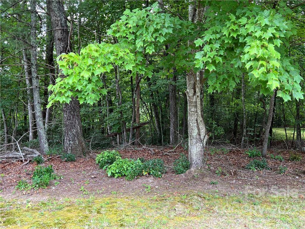 Marion, NC 28752,00 Deep Woods DR #75