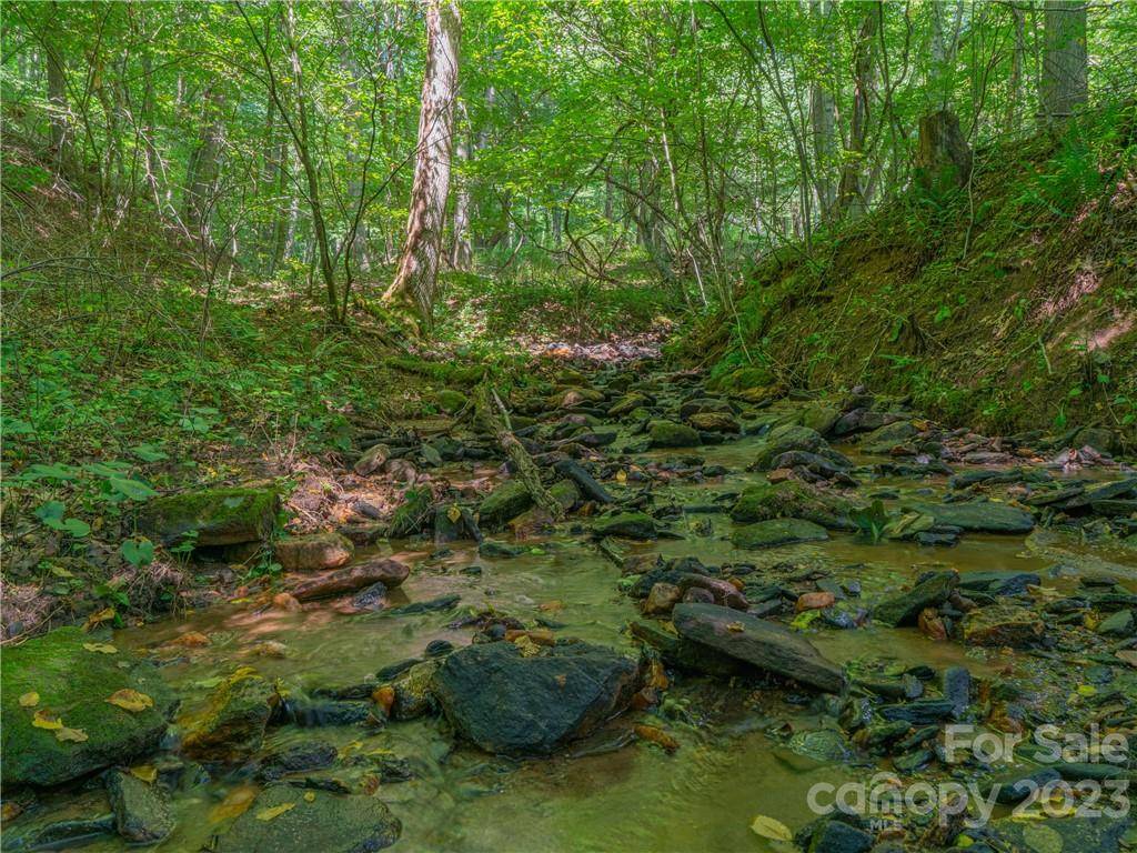 Burnsville, NC 28714,Lot 8 Locust Rough Mountain RD