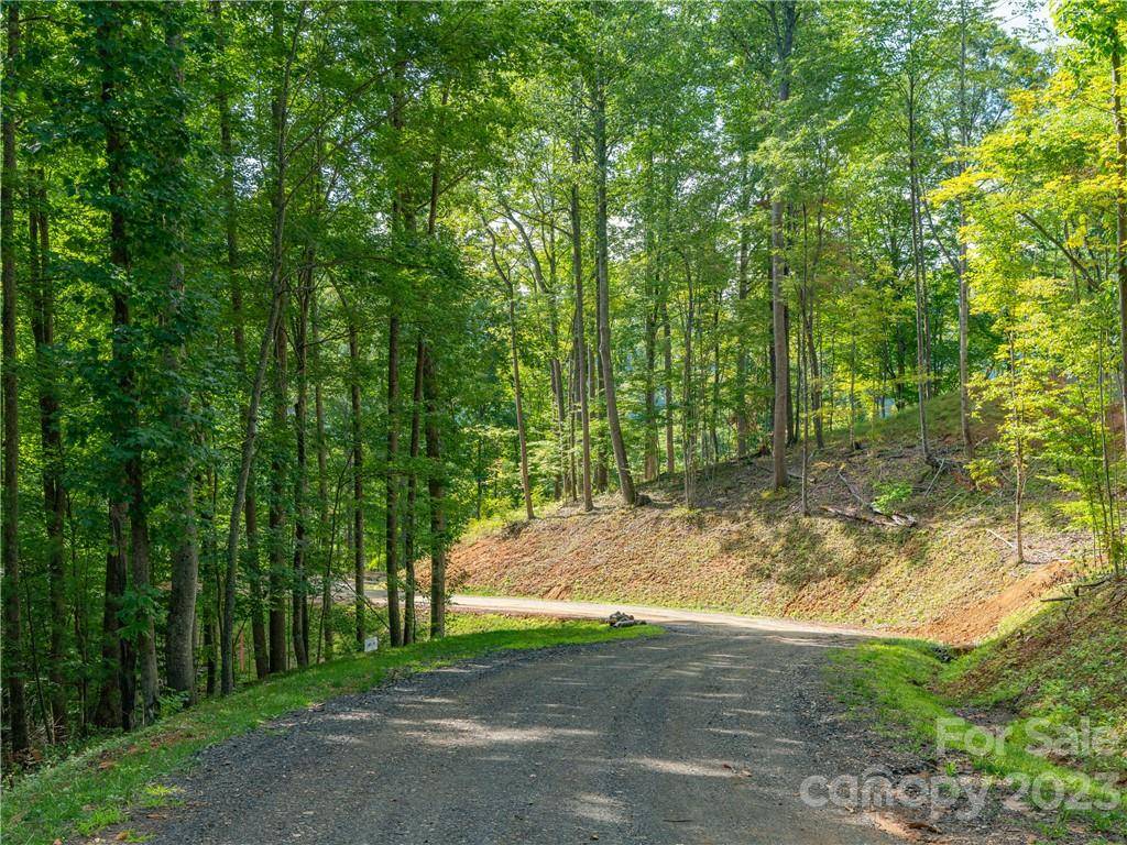 Burnsville, NC 28714,Lot 11 Locust Rough Mountain RD