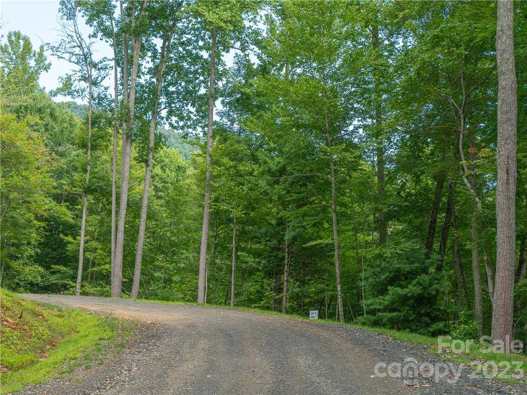 Burnsville, NC 28714,Lot 12 Locust Rough Mountain RD