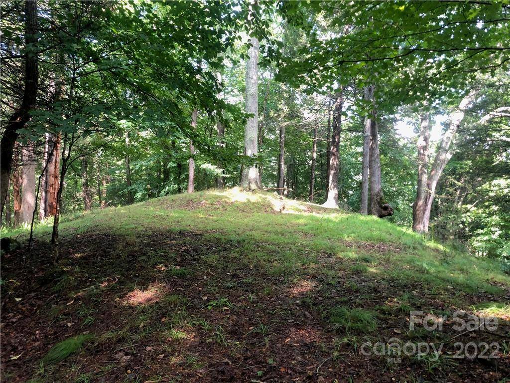 Green Mountain, NC 28740,0000 Old Log RD