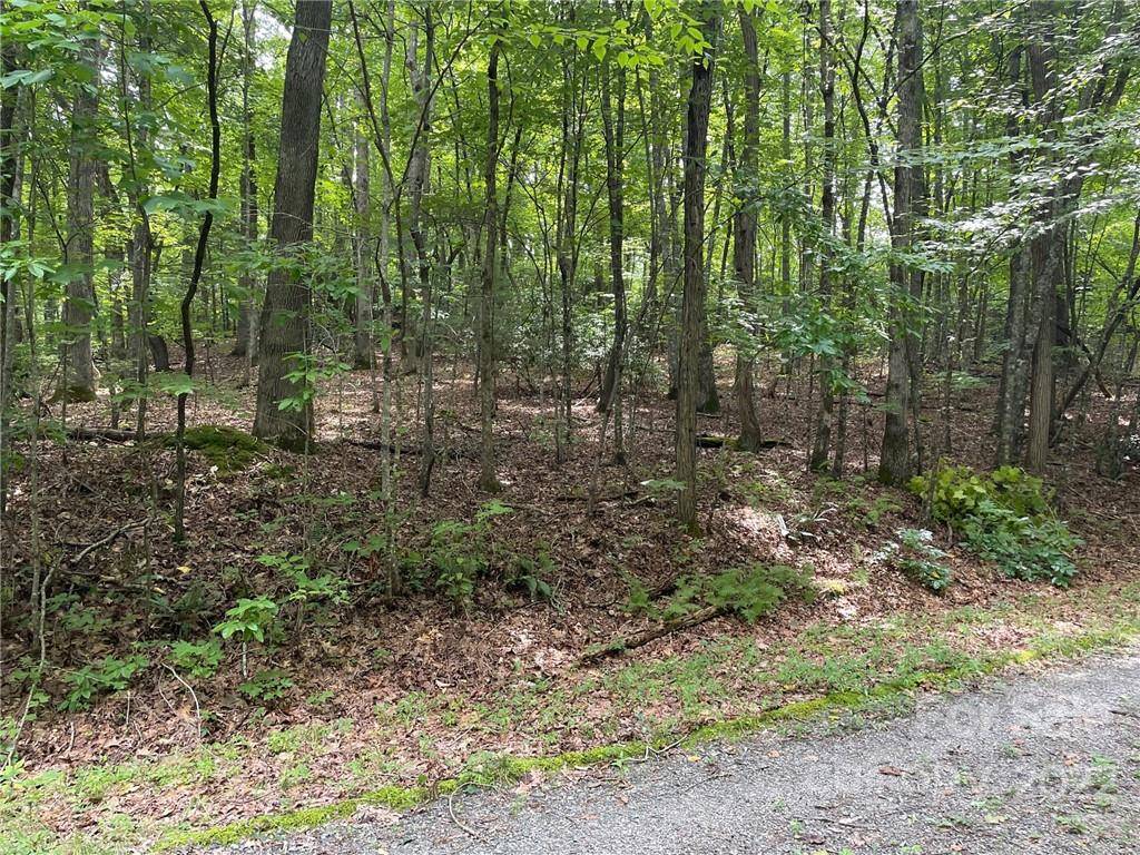 Hendersonville, NC 28792,Lot p - 19 Ridgemont RD #P-19