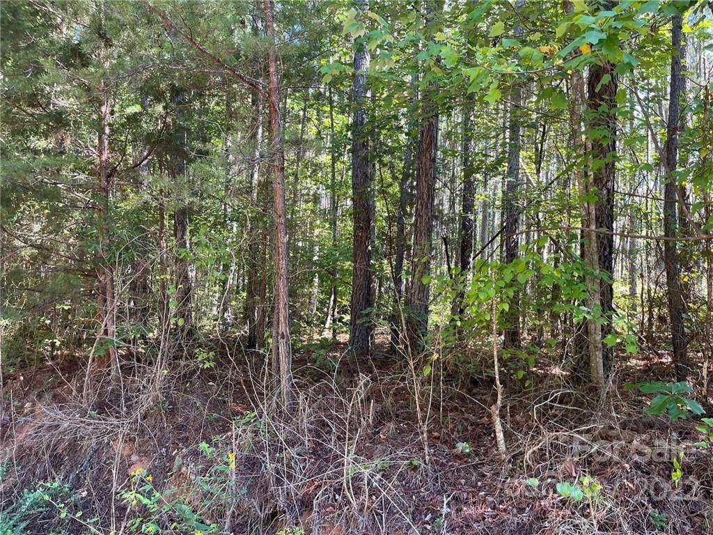 Bostic, NC 28018,Lot 1 Pearidge RD #1