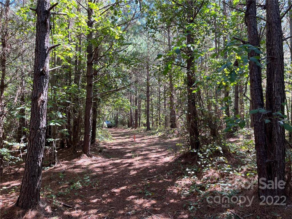 Bostic, NC 28018,0 Pearidge RD #7