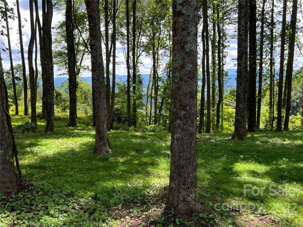 Hendersonville, NC 28792,0000 East Garden TRL #Lot 11