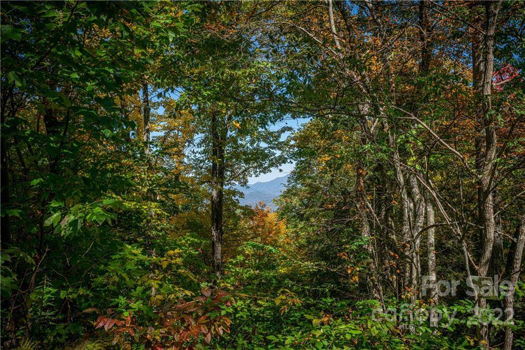 Maggie Valley, NC 28751,201 Chickadee LN #201