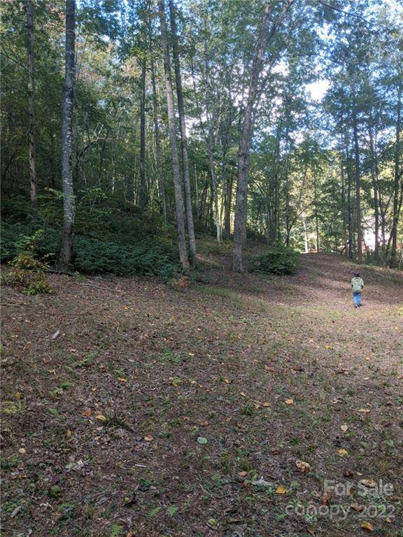 Mill Spring, NC 28756,Lot 24 Ostin Creek TRL