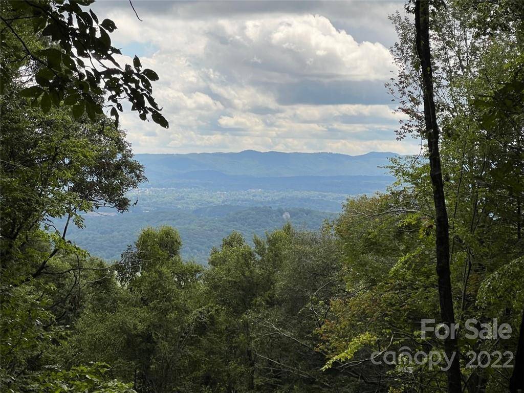 Hendersonville, NC 28792,0000 New Sprout LN #Lot 1