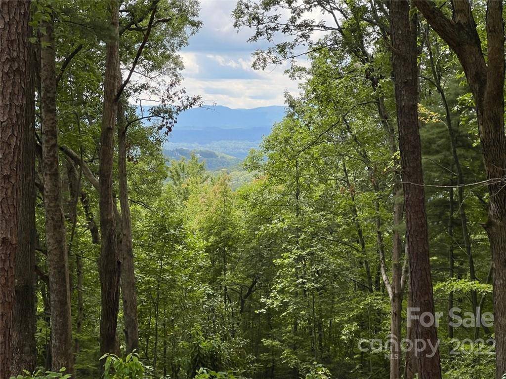 Hendersonville, NC 28792,0000 New Sprout LN #Lot 4