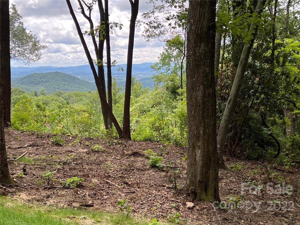 Hendersonville, NC 28792,0000 New Sprout LN #Lot 6