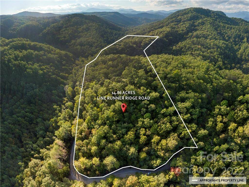 Rosman, NC 28772,00 Line Runner Ridge RD