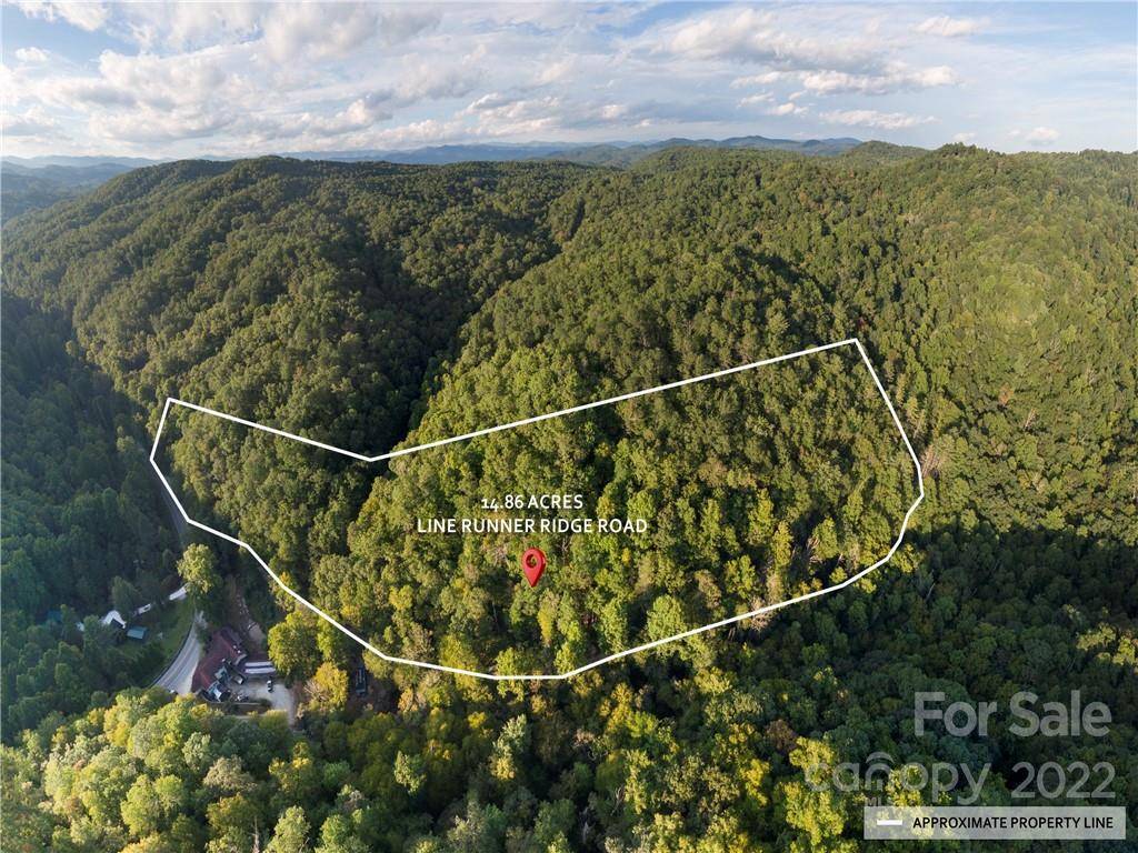 Rosman, NC 28772,00 Line Runner Ridge RD