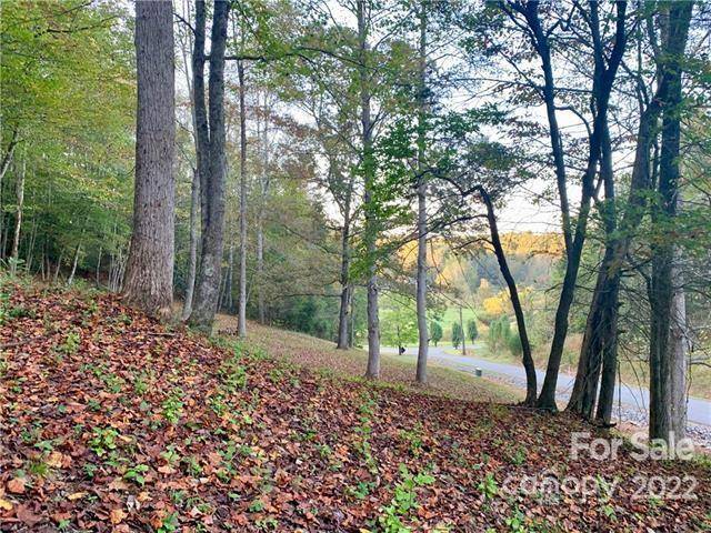 Lenoir, NC 28645,5.04 acres Lot 501A Red Cedar WAY #501A