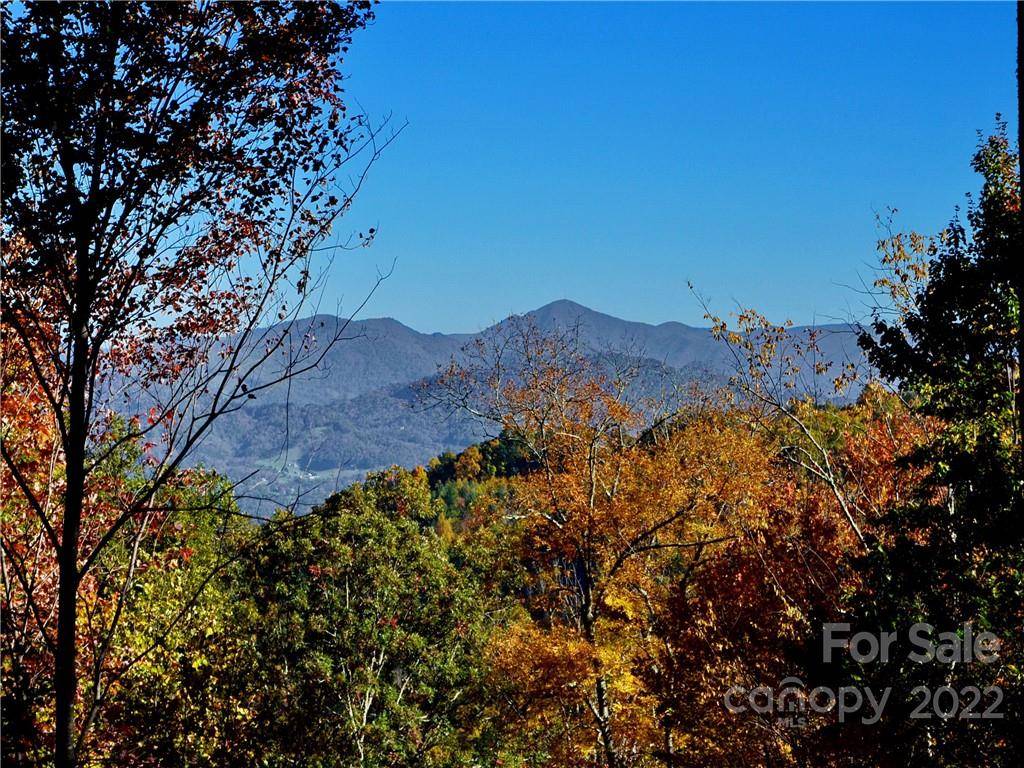 Waynesville, NC 28785,Lot #25 Utah Mountain RD