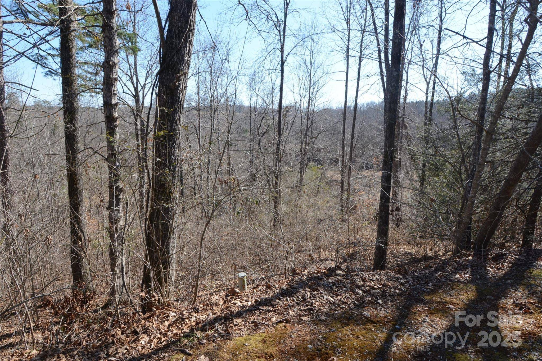 Tryon, NC 28782,000 Rambling Creek RD #11