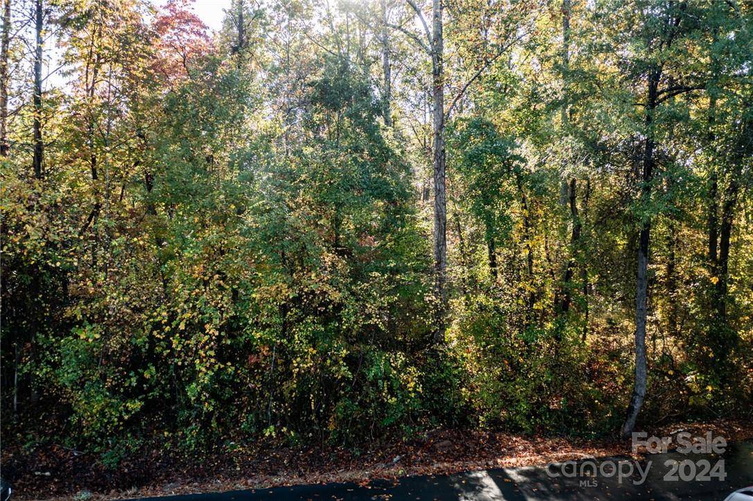 Claremont, NC 28610,LOTS 7-13 Sipe DR