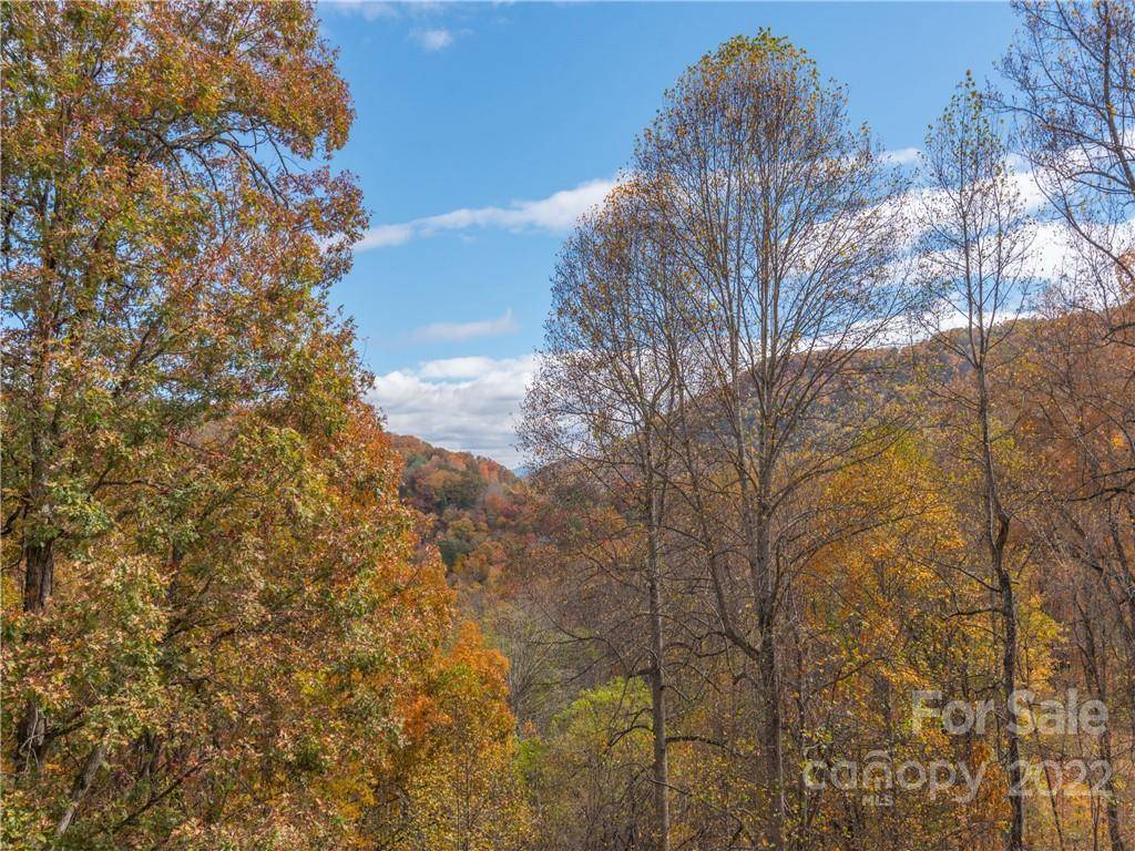 Waynesville, NC 28785,00 Campbell Mountain DR #104-B