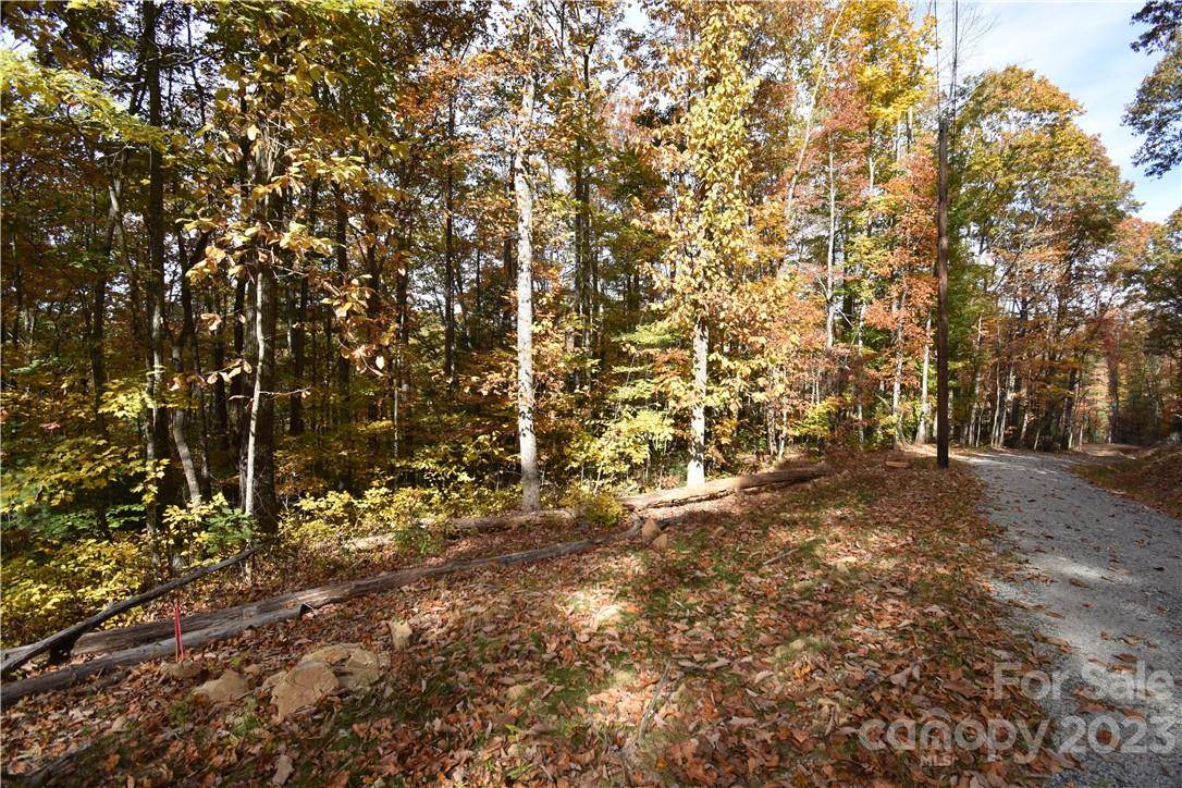 Hendersonville, NC 28792,Lot 2 Bradley Mountain LN #Lot 2