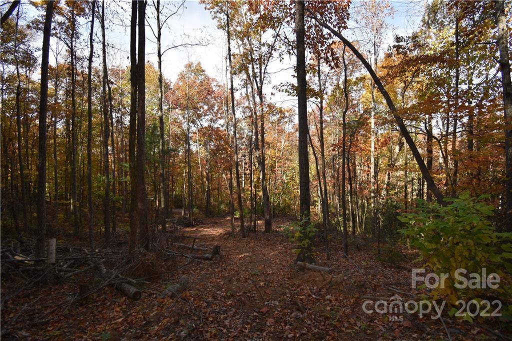 Hendersonville, NC 28792,TBD Bradley Mountain LN #Lot 7