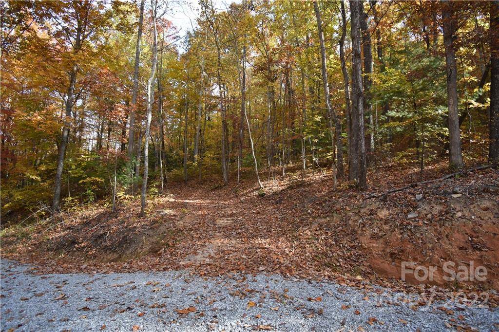 Hendersonville, NC 28792,TBD Bradley Mountain LN #Lot 8