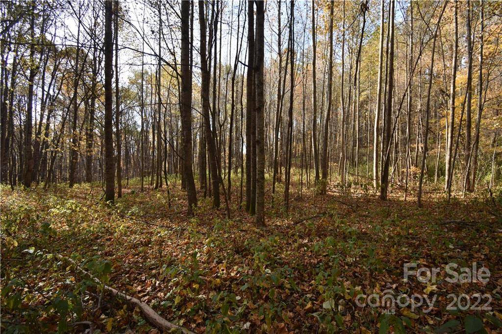 Sylva, NC 28779,Land Off Woodfin Creek RD